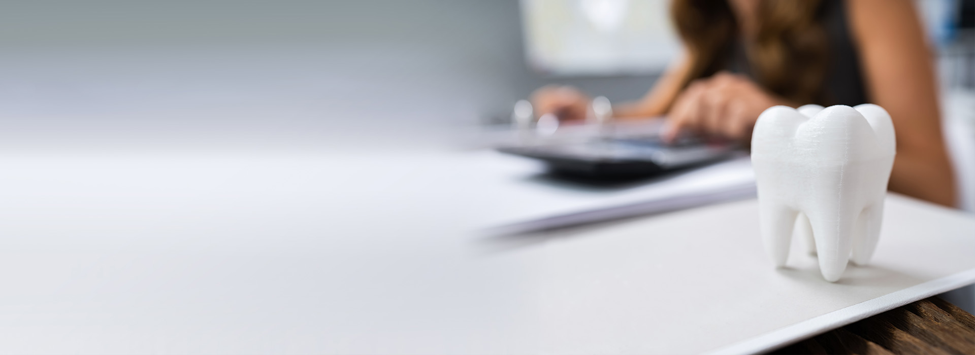 A blurred image of a person working at a desk with a small white model elephant in the foreground.