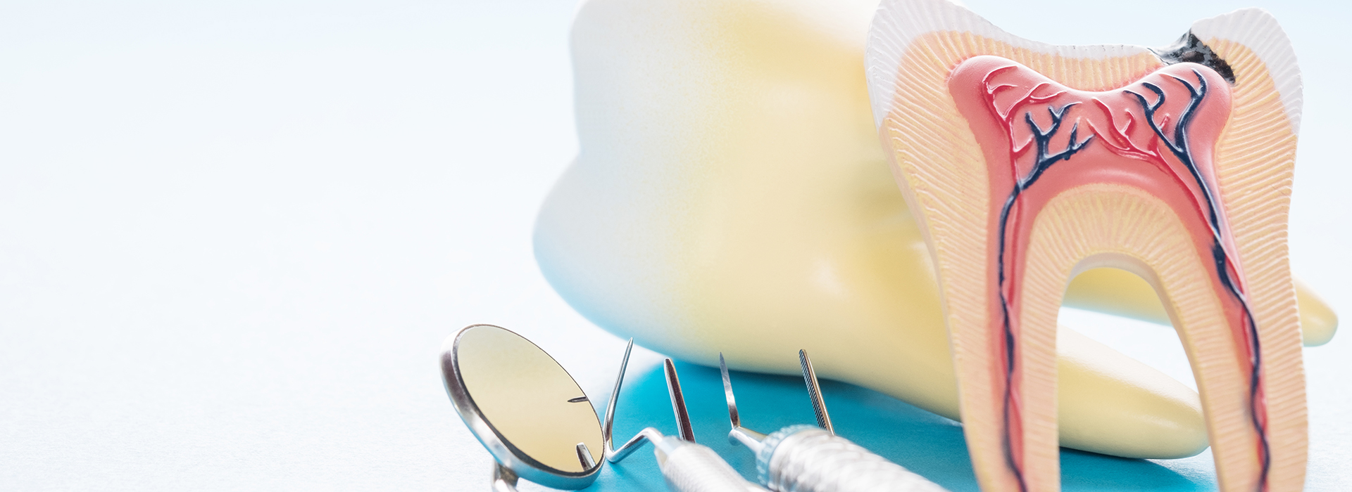 This is a composite image with two distinct halves. The left side shows a dental model with an open mouth, revealing teeth and gums, accompanied by various dental tools such as a scaler, mirror, and tweezers. The right side features a close-up of a toothbrush with bristles and a toothpaste tube, both set against a light blue background.